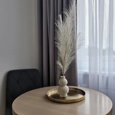 No 15 Apartment Klaipeda